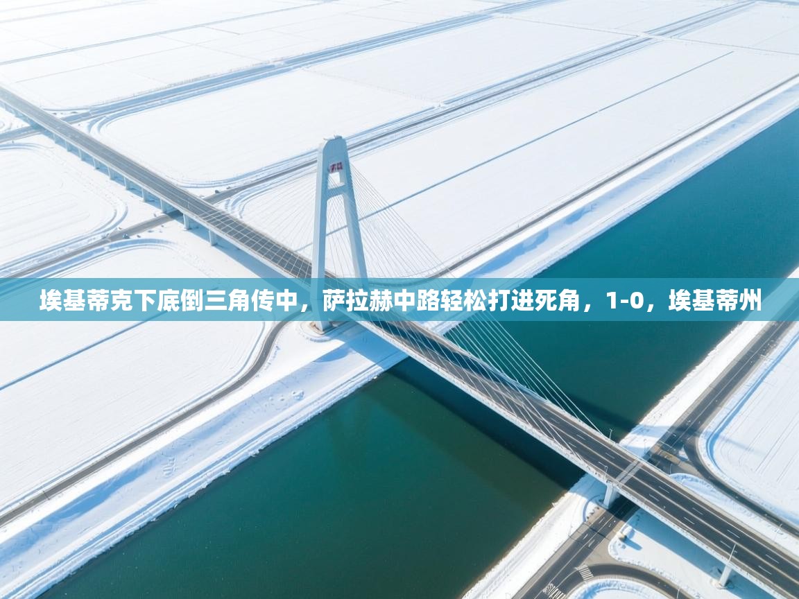 埃基蒂克下底倒三角传中,萨拉赫中路轻松打进死角,1-0,埃基蒂州 第2张