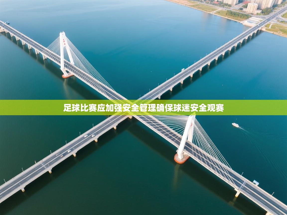 足球比赛应加强安全管理确保球迷安全观赛  第2张