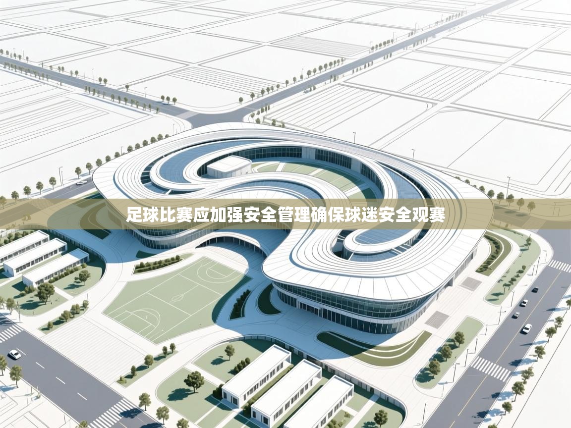 足球比赛应加强安全管理确保球迷安全观赛  第1张