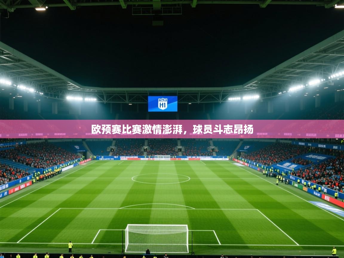 欧预赛比赛激情澎湃,球员斗志昂扬 第1张