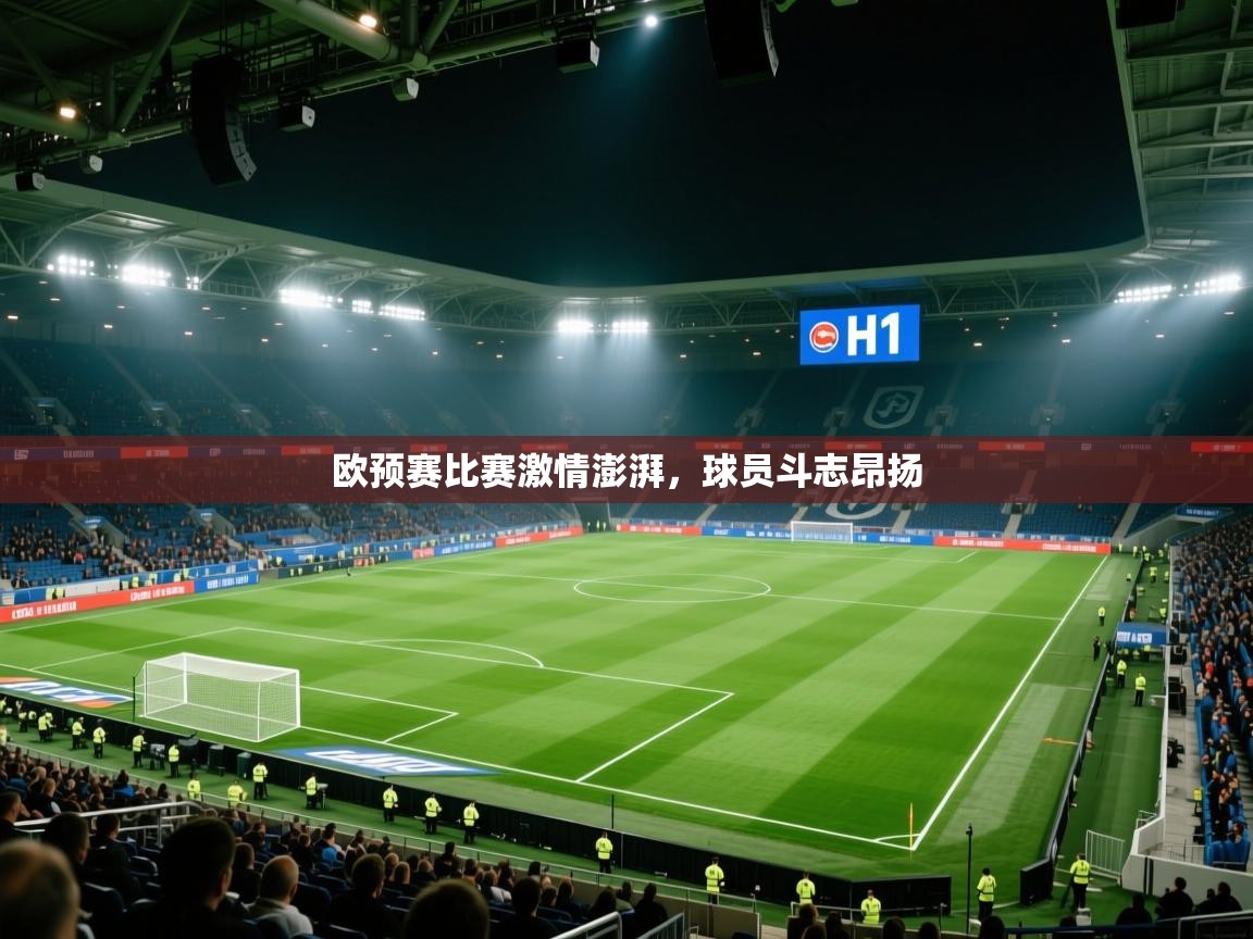 欧预赛比赛激情澎湃,球员斗志昂扬 第2张