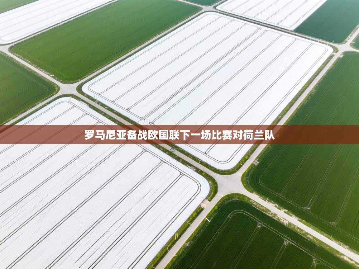 罗马尼亚备战欧国联下一场比赛对荷兰队  第2张