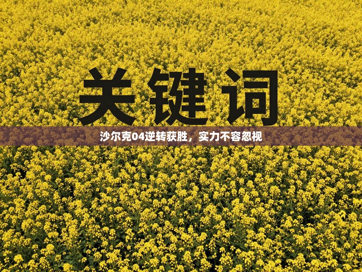 沙尔克04逆转获胜,实力不容忽视 第2张